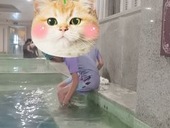 -鱼凫国都大酒店温泉