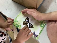 -上海昆虫博物馆