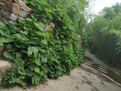 -竹泉村旅游度假区