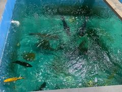 -新渔之道餐厅(塘厦店)