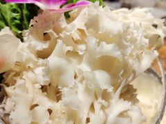 -川西坝子(老军营店)