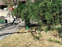 -红楼梦邮局