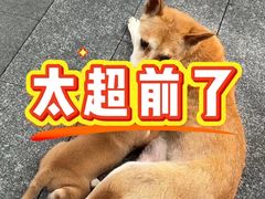 -美迪炊饭(人民路店)