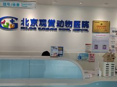 -北京观赏动物医院·24小时大型综合·猫专科·异宠专科