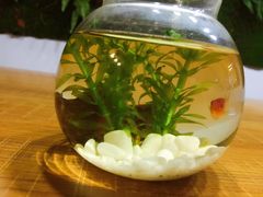 -A+匠心DIY手工坊·首饰·微景观
