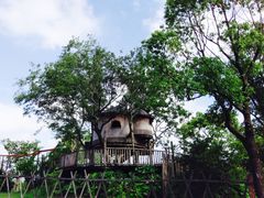 -田园东方蜜桃村的田野营地