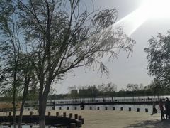 -绿堤公园
