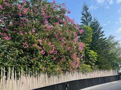 -广州从化都喜泰丽度假酒店温泉