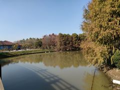 -上海海湾国家森林公园