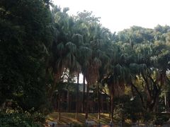 -广州市越秀区育才实验学校