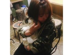 -猫猫幼稚园·撸猫·桌游·电玩