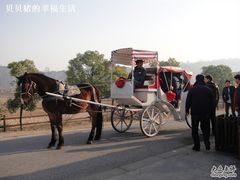 DSC03604-苏州太湖牛仔风情度假村