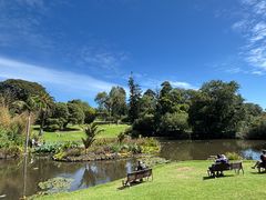 -墨尔本皇家植物园