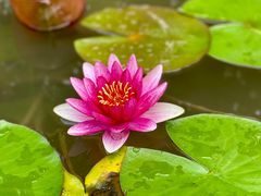 -中国铁道博物馆(正阳门馆)