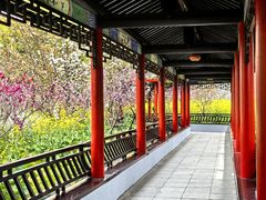 -南汇桃花村