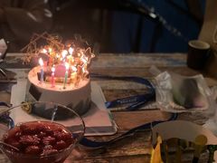 -奉天泥炉烤肉(七星店)