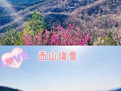 -北京西山国家森林公园