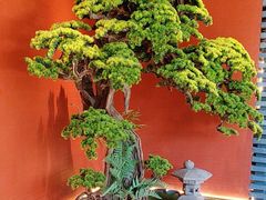 -阿伟海鲜楼·福建菜(延寿店)