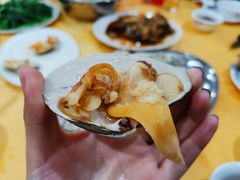 -蚝专家(北滘店)