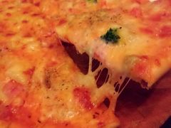 android_upload_pic-百好乐宠物友好餐厅(朝外大街店)