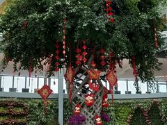 -南通洲际绿博园