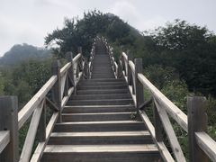 -大岭沟猕猴桃谷风景区