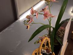 -施奈儿.洗头頭療.按摩SPA.采耳(上梅林店)