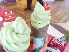 -麦当劳(塔园路店)