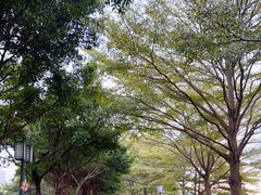 -顺峰山公园