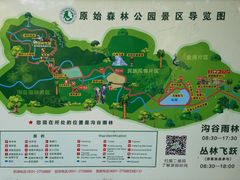-西双版纳原始森林公园