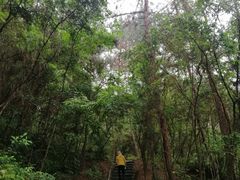 -梦姑塘文化公园