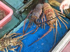 -大东海海鲜酒楼(渔人码头总店)