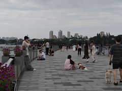 -金鸡湖景区