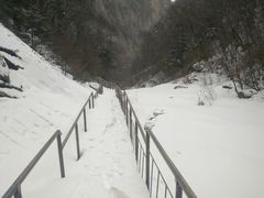 -青峰峡国家森林公园