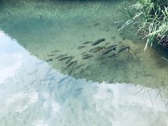 -小七孔景区-六十八级跌水瀑布