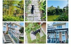 -马陆小张葡萄园农家乐