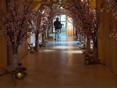 -Bleston Court Yukawatan