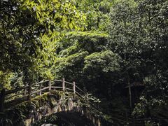-西岭雪山大飞水景区