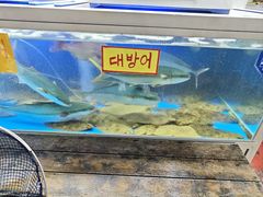 -西归浦每天偶来市场