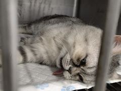 -派特宠物医院(圆融广场店)