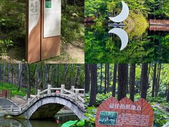 -洛阳白云山景区