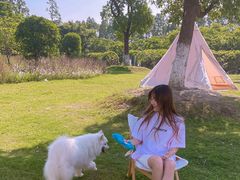 -上海长兴岛郊野公园