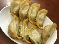 鲜肉锅贴-小姜锅贴(凤凰街店)