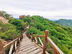 -大岭沟猕猴桃谷风景区