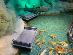 -酷嗒动物文化乐园(cutezoo西溪乐天城店)