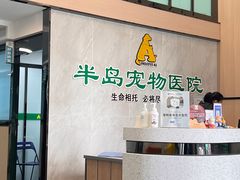 -半岛宠物医院24小时(科华中路店)