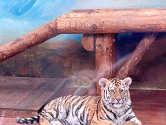 -上海野生动物园