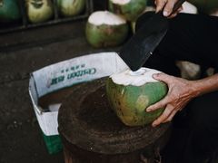 -万绿园