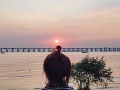 -宝安西湾红树林湿地公园