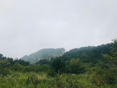 -王莽岭风景区
